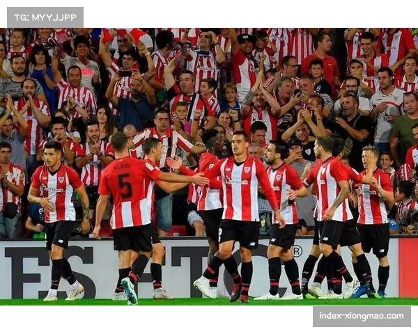 加拉塔萨雷主场战绩彪悍 成夺冠关键因素